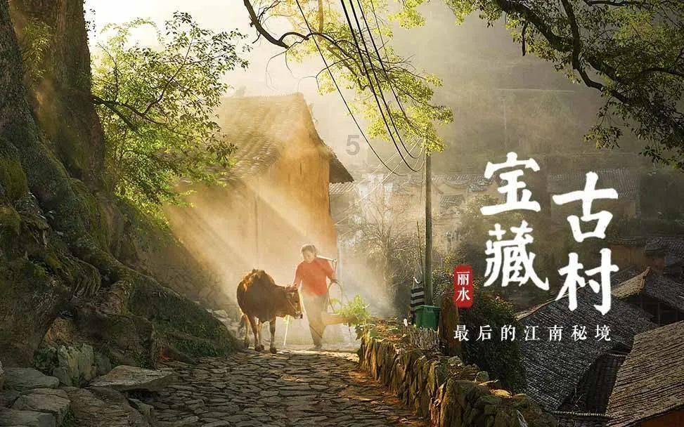 逃离天鹅森林