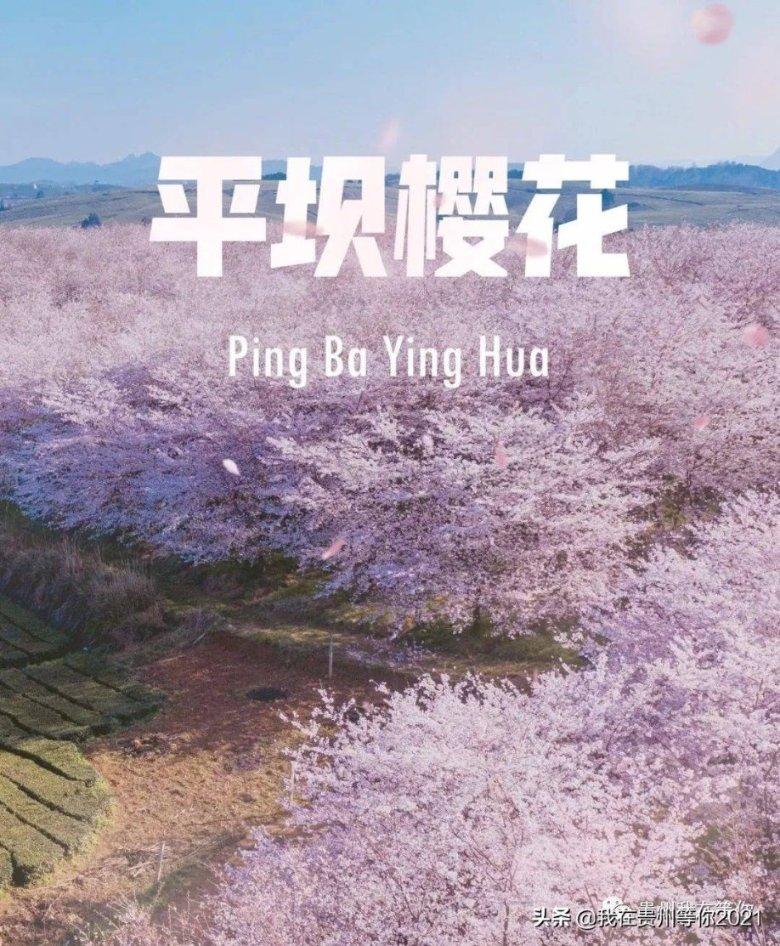围巾应该怎样选择颜色？游戏画面
